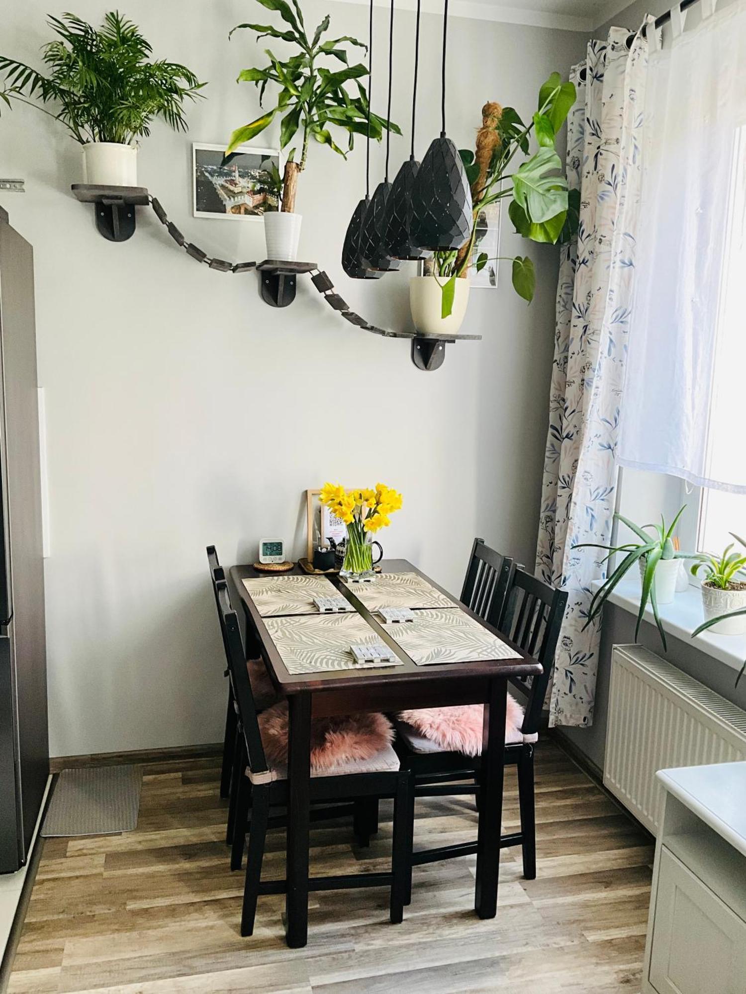 Apartament Na Starym Miescie Болеславец Екстериор снимка